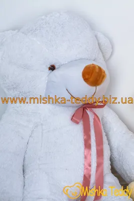 Большой Медведь - Доставкой цветов в Москве! 23803 товаров! Цены от 487  руб. Цветы Тут
