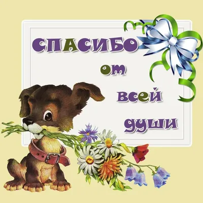 Если немного одиноко... Пусть приведёт тебя дорога... Ко мне. |  Я-бракованная женщина. | Дзен