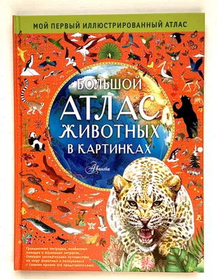 Энциклопедия для детей Большой атлас животных в картинках / Аванта | Хокинс  Эмили, Уильямс Рейчел - купить с доставкой по выгодным ценам в  интернет-магазине OZON (1138847019)