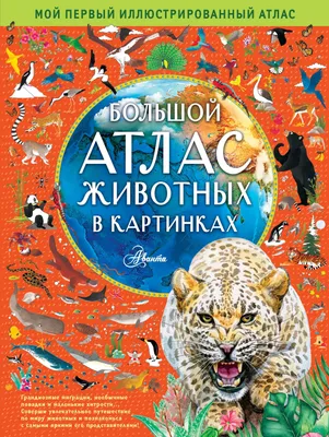 Большой атлас животных в картинках — купить книги на русском языке в  DomKnigi в Европе