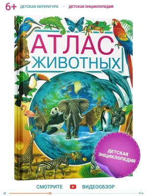 Рецензии покупателей на \"Большой атлас животных в картинках для малышей\" -  Издательство Альфа-книга