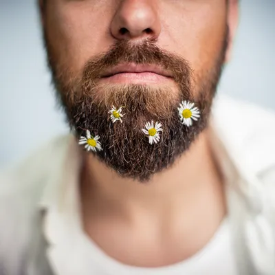Моделирование бороды в Roots Mens Cut - индивидуальный стиль для мужчин