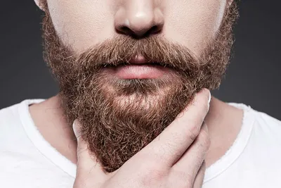 Борода против Устава. Почему в зоне СВО много бородачей? | В мире |  Политика | Аргументы и Факты