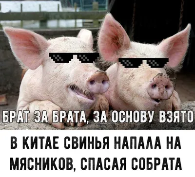 Брат за брата