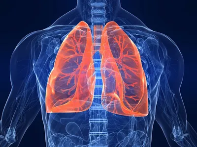 Бронхиальная астма картинки фотографии