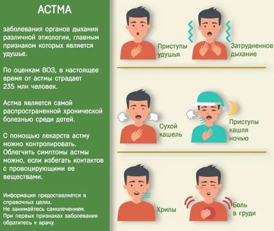 Бронхиальная астма у детей: признаки и опасность болезни | Справочник  фельдшера | Дзен