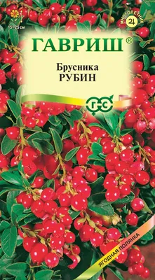 Брусника лист цена 80 руб, инструкция, описание, полезные свойства, отзывы.  Брусника лист купить в интернет-магазине “Русские Корни” с доставкой по  Москве, МО и РФ.