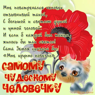 Цветы и макарони \"Будь счастлива\", артикул: 333049135, с доставкой в город  Москва (внутри МКАД)