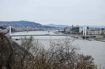 Будапешт в марте, или какая же красота! 3 день — рассказ от 26.03.14