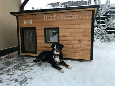 Изготовление будки для собак в Харькове | ЮЛУК