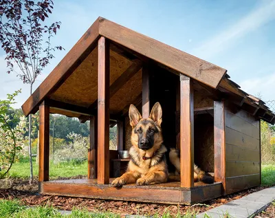 Будка для собаки квадратная Орехово-Зуево интернет-магазин стройматериалов  СтройДвор на Карболите