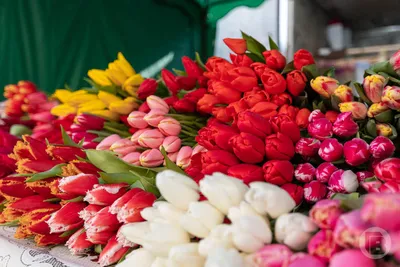 Авторский букет \"8 Марта\" - заказать доставку цветов в Москве от Leto  Flowers