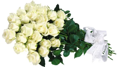 Купить букет белых роз 5700 р. в интернет магазине Модный букет с доставкой  по Москве