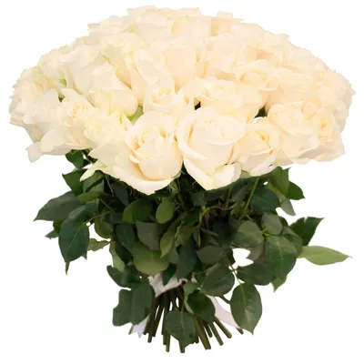 11 белых роз «Идиллия» 77.00 Br ❀ Цветочная мастерская Флореаль
