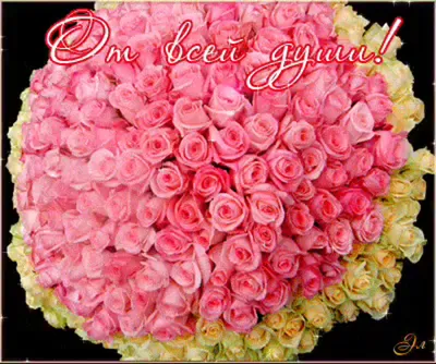 Шикарные мерцающие букеты роз на день рождения скачать бесплатно