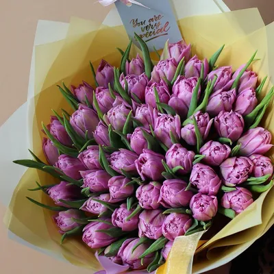 Самые популярные цветы для подарка на 8 марта