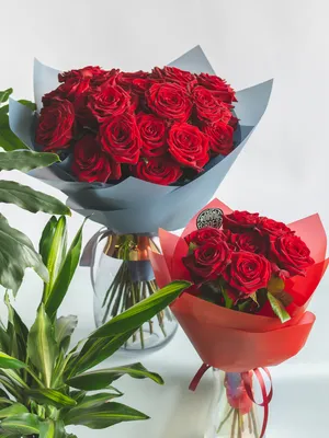 Букет красных роз с зеленью розы заказать в Гродно: доставка, цена, фото