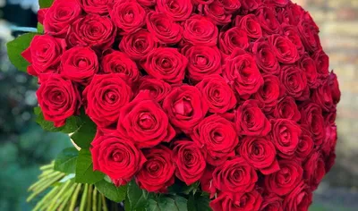 Заказать букет красных роз 80 см. Цена 2970 руб.
