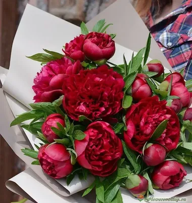 Букет из 9 пионов №64 - 🌹 Цветы Новосибирск заказ:
