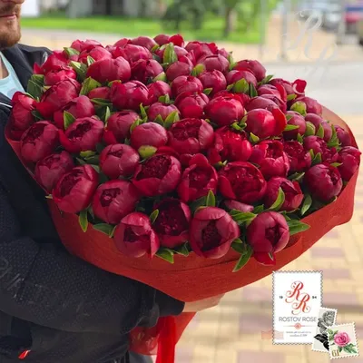 Букет пионов Marshmellow, цветы и подарки в Красной Поляне, купить за 12  240 ₽ | Фото, отзывы, цены