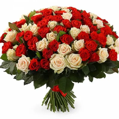 Букет цветов из 51 красной розы Россия – купить за 8 400 ₽ | Мосцветок |  Сеть цветочных магазинов с доставкой