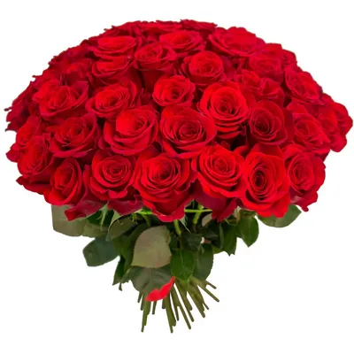 Купить букет красных роз 101 шт в Великом Новгороде в интернет-магазине  «Дон Пион»\"