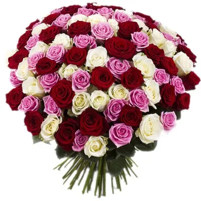 Купить Букет из 101 розовой розы в Краснодаре