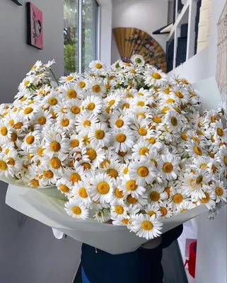 Огромный букет цветов женщине на День рождения со стихами