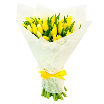 Красно-жёлтый букет тюльпанов (25 штук) - Доставка свежих цветов в  Красноярске