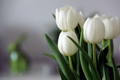 Букет цветов 15 мыльных роз подарок на 8 марта , день рождение - купить с  доставкой по выгодным ценам в интернет-магазине OZON (879669825)