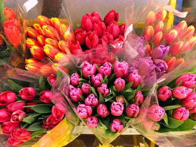 Букет на 8 марта - 31 шт. за 10 490 руб. | Бесплатная доставка цветов по  Москве