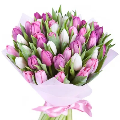 Букет 21 тюльпан - купить с доставкой по Киеву - лучшие цены на Букет  тюльпанов в интернет магазине доставки цветов STUDIO Flores