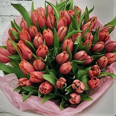 Букет 25 нежно-розовых тюльпанов | доставка по Москве и области