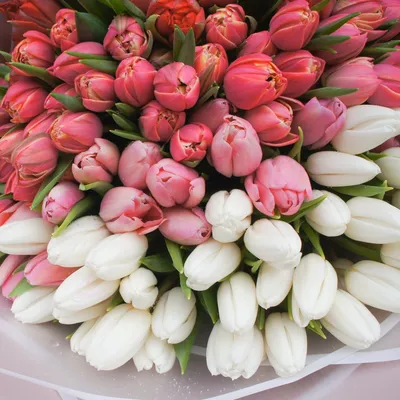 Tulipa. Разноцветный букет с тюльпанами. по цене 7595 ₽ - купить в  RoseMarkt с доставкой по Санкт-Петербургу