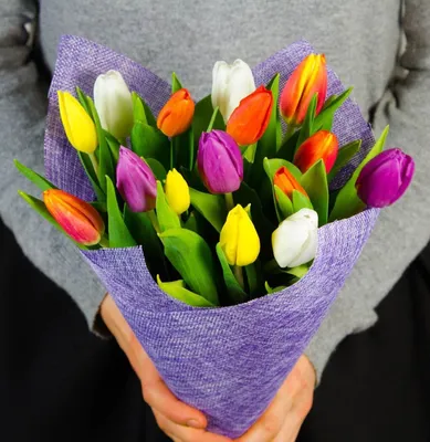 Букет из тюльпанов большой купить в магазине цветов и подарков с доставкой  по Краснодару