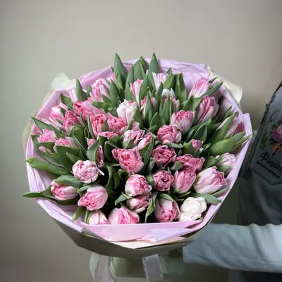 Букет из тюльпанов «Преклонение» - интернет-магазин «Funburg.ru»