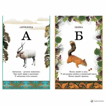Буквы алфавита с животными | Бесплатно векторы