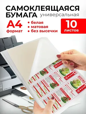 Туалетная бумага Народная, упаковка 24шт (id 97858350), купить в  Казахстане, цена на Satu.kz