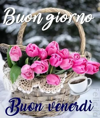 Pin di Chiara Gagliardi su Buongiorno etc.. | Buongiorno, Auguri di  buongiorno, Buongiorno immagini