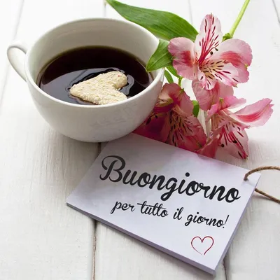 Как сказать «доброе утро» в итальянском Buongiorno Иллюстрация вектора -  иллюстрации насчитывающей горизонтально, письмо: 187195713