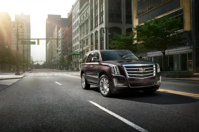 2020 Cadillac Escalade Prices, Reviews, and Photos - MotorTrend