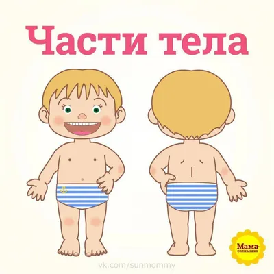 Мастер-класс по аппликации «Части тела и лица. Человек» для детей с ОВЗ 3–4  лет (9 фото). Воспитателям детских садов, школьным учителям и педагогам -  Маам.ру