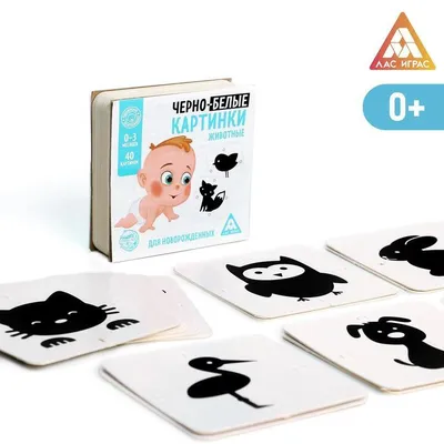 Черно-белые картинки для новорожденных, 20 карт, 0+ цена, купить Черно-белые  картинки для новорожденных, 20 карт, 0+ в Минске недорого в интернет  магазине Сима Минск