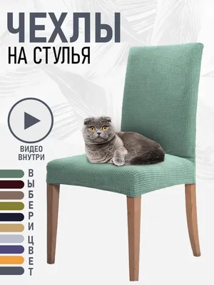 Чехлы на кресла европейского качества, производства Испании, Италии и  Турции можно купить недорого в интернет-магазине Master Чехол в  Санкт-Петербурге