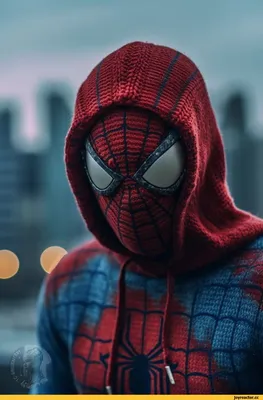 Человек-паук: Паутина вселенных, 2023 — описание, интересные факты —  Кинопоиск