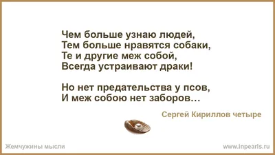 Чем больше узнаю людей, Тем больше нравятся собаки. Они честней, они д... |  TikTok