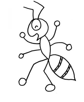 Типы мурашей | Мураши | Дзен