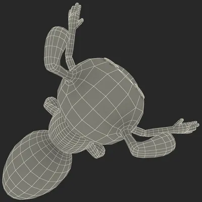 Раскраска Большой муравей-черепаха | Раскраски для детей печать онлайн