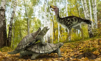 Муравей черепахи стоковое изображение. изображение насчитывающей картина -  195713313