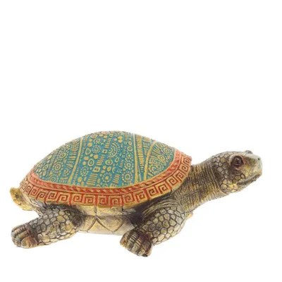 Редкий вид болотных черепах спасли зоологи в Даугавпилсе / Статья